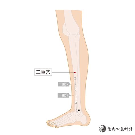 三 穴|董氏穴位詳解 